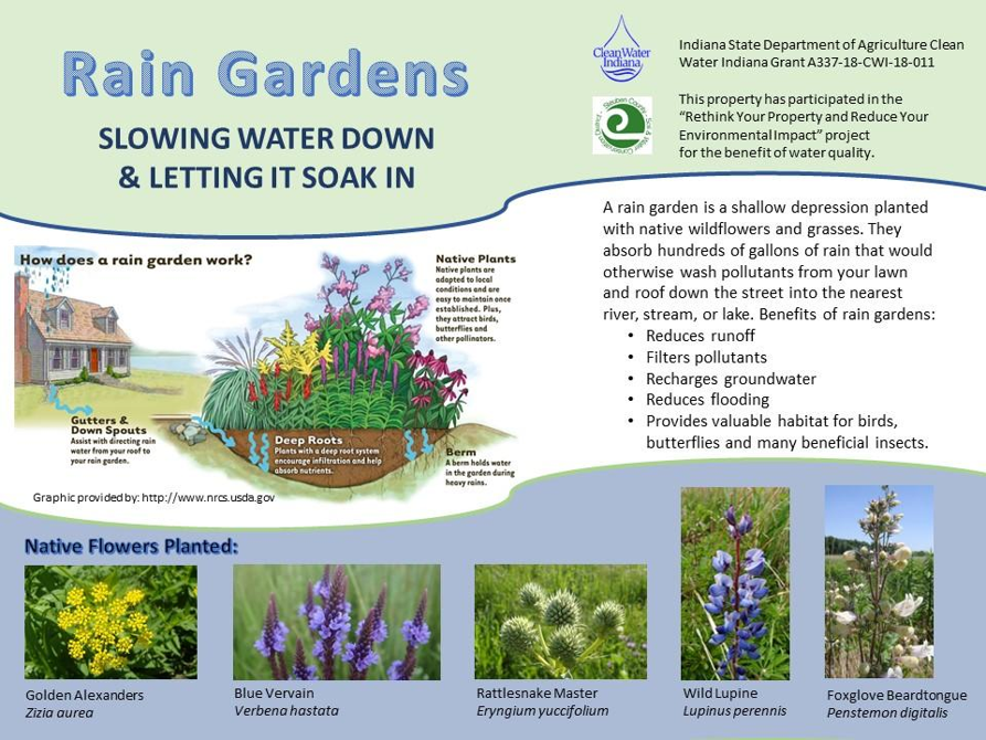 What is a Rain Garden?
